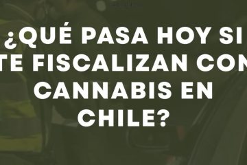 Cannabis y el país de Chile