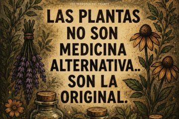 Medicina de las plantas
