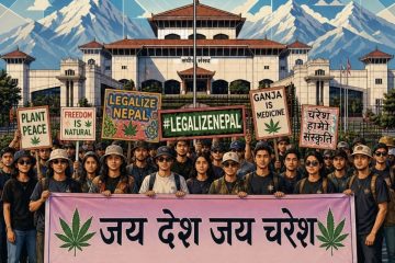Cannabis el mundo quiere liberarlo