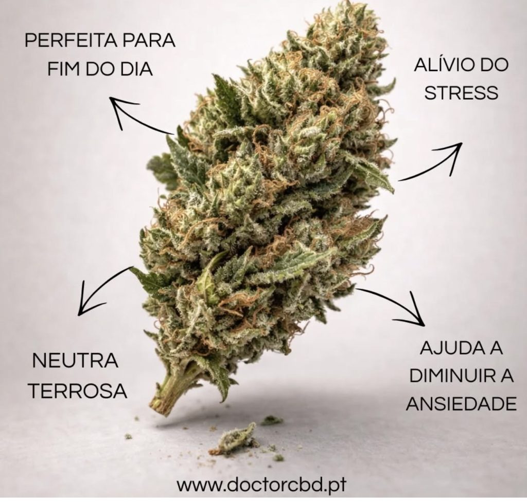 Cannabis y salud