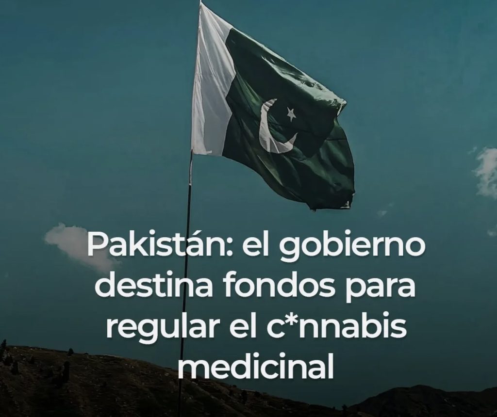Pakistan y el cannabis