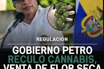 Flor seca cannabis en Colombia