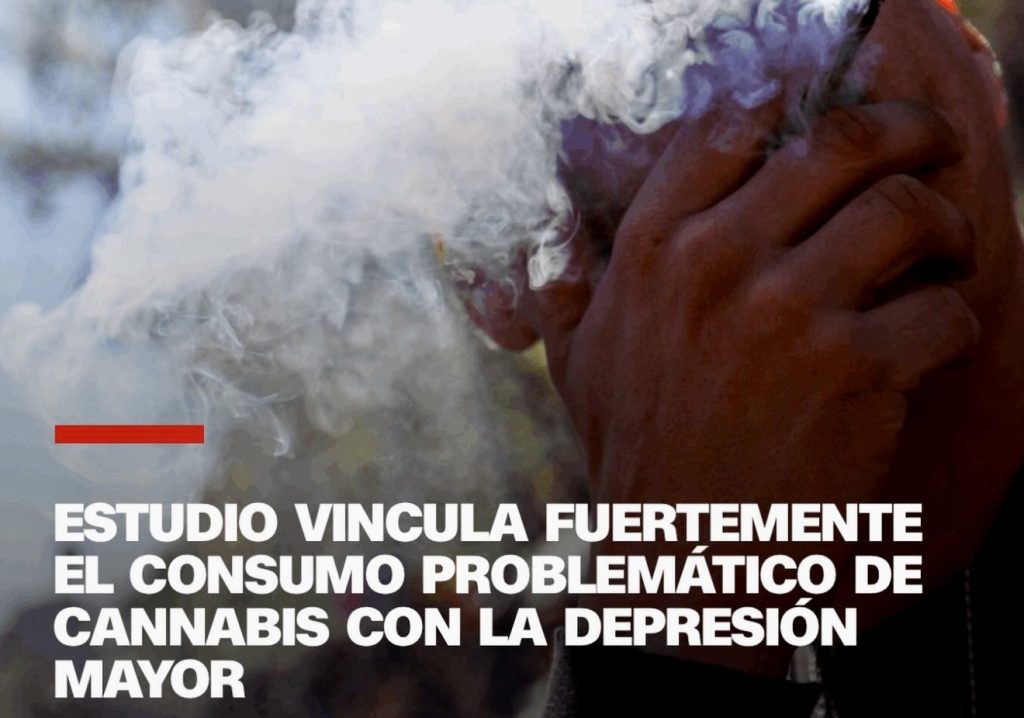 Cannabis en la salud