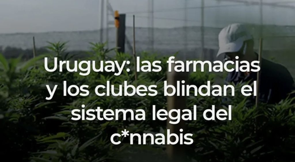Uruguay ordena su venta de cannabis