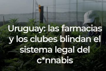 Uruguay ordena su venta de cannabis