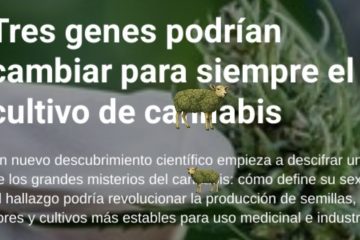 Genes de cambio en el cannabis