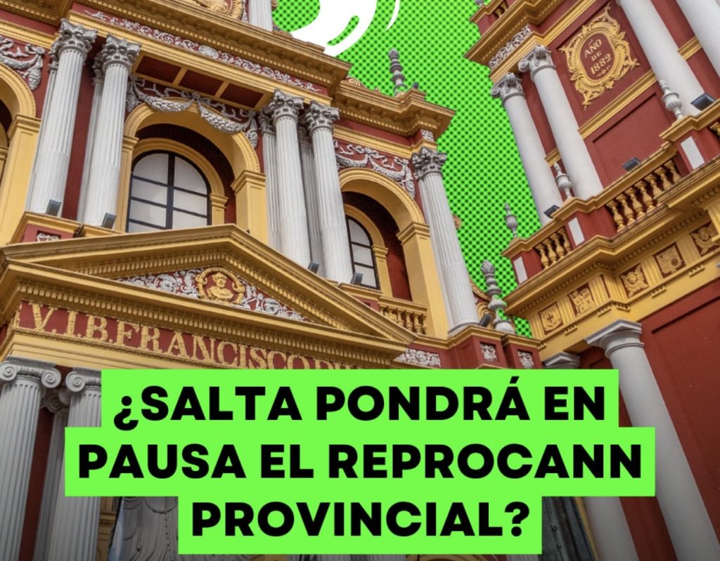 Provincia de Salta el cannabis una cuestión política