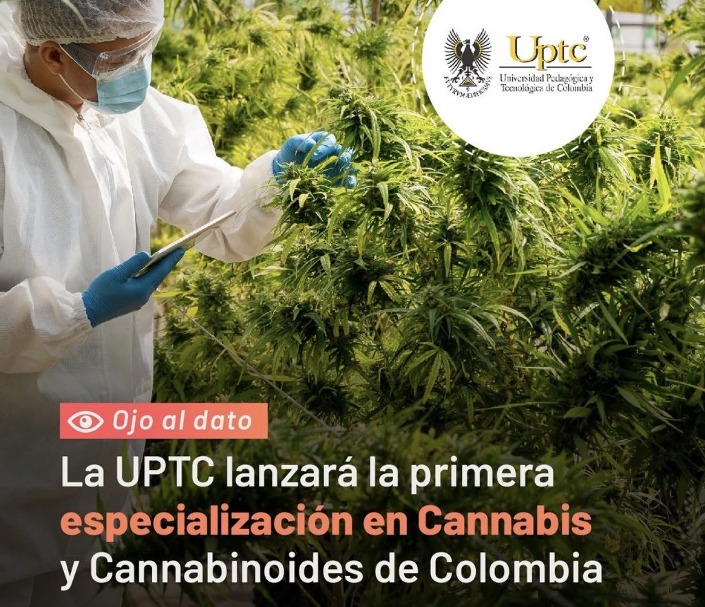Cannabis en Colombia