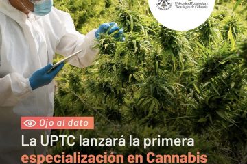 Cannabis en Colombia