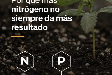 Nitrógeno en el cannabis