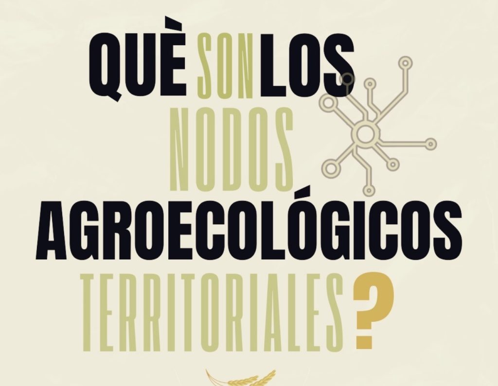 Nodos en el cannabis