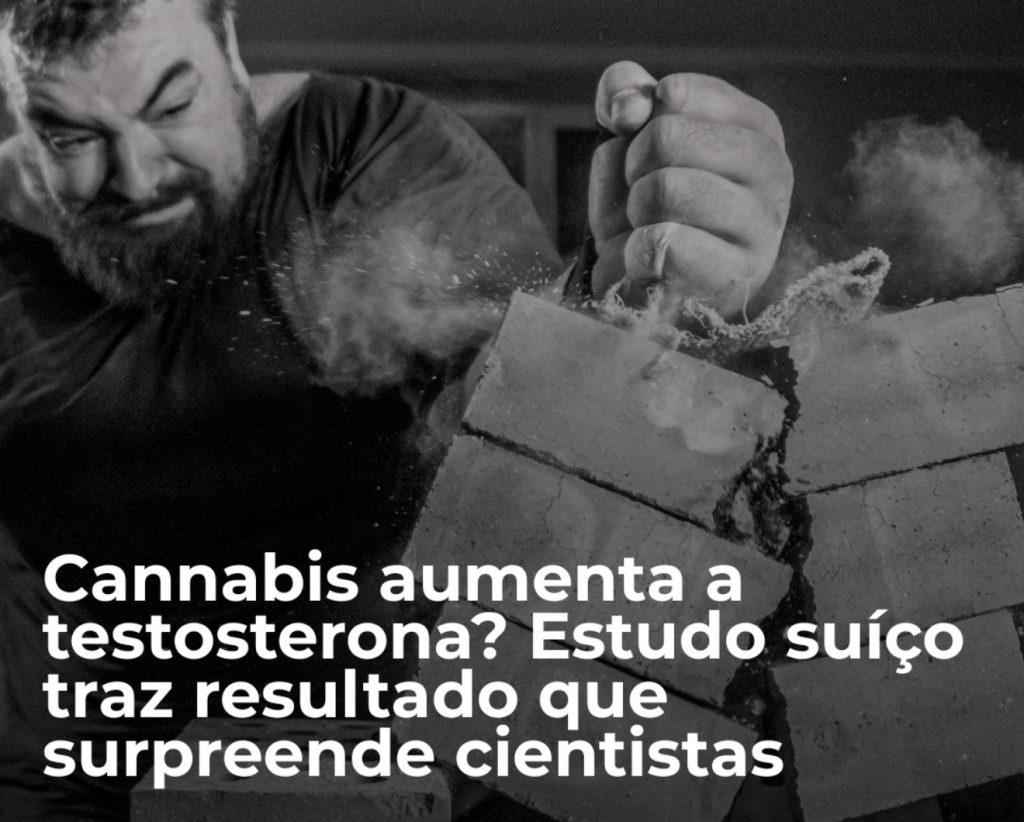 Cannabis y testosterona
