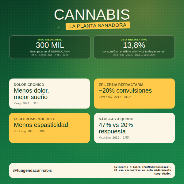 Cannabis sanador