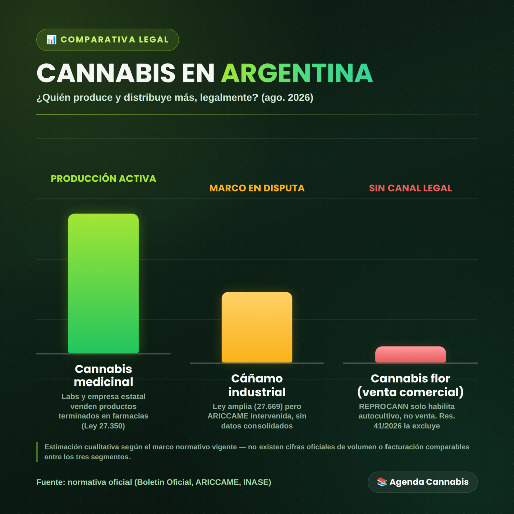 Cannabis medicinal, flor y cáñamo