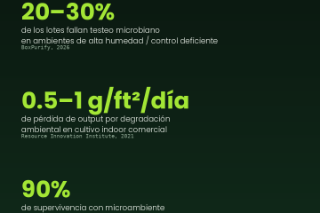 eficiencia en el cultivo cannabis