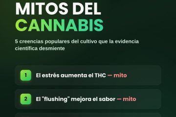 Mitos del Cannabis