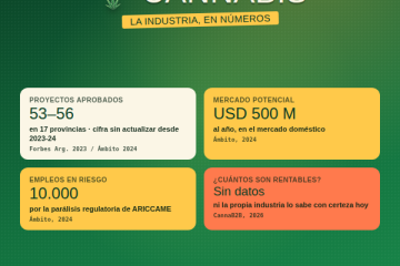 Cannabis en dinero
