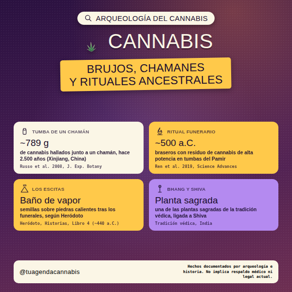 Cannabis arquelogico