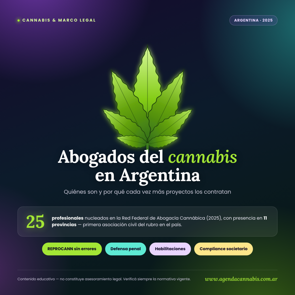 Abogados cannábicos
