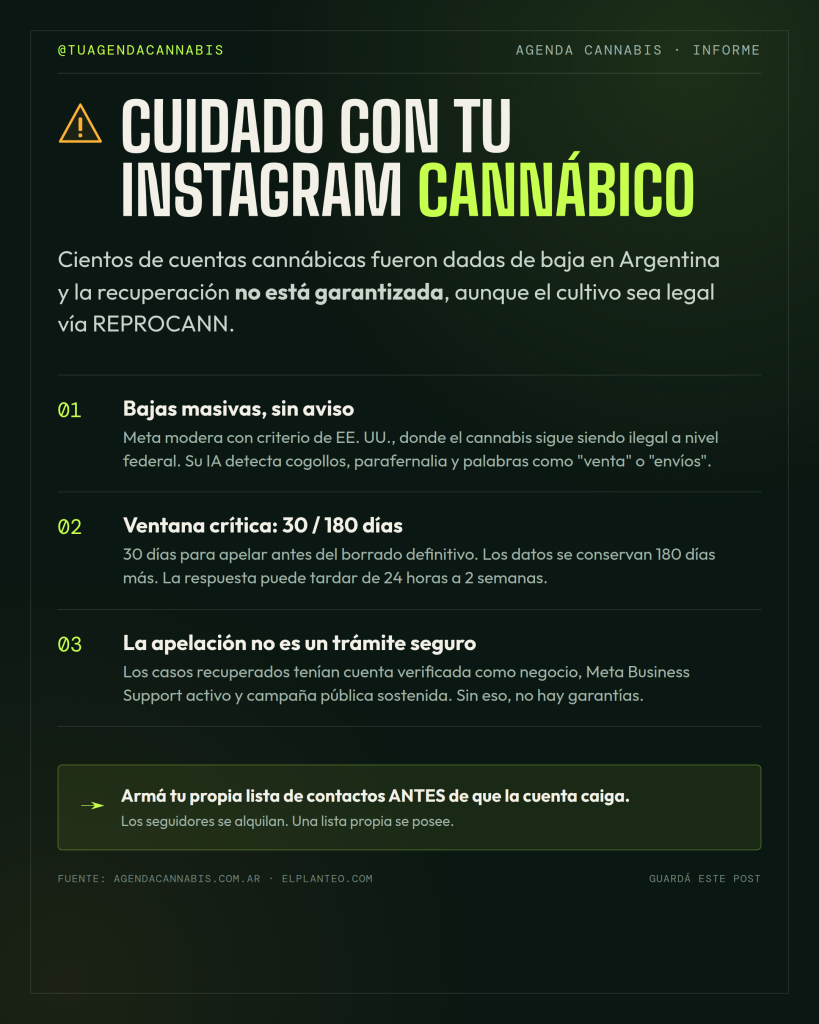 Peligro con Instagram