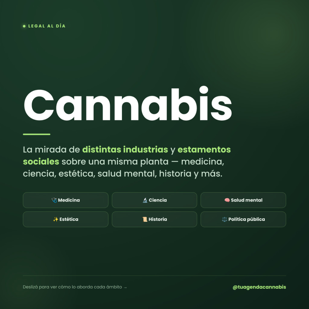 Cannabis en cada ambito