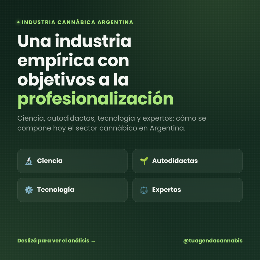 Testimonios de pacientes: Cómo el cannabis ha transformado su vida