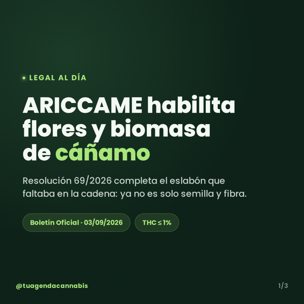 Guía completa de cultivo de cannabis en Argentina: Tips y recomendaciones