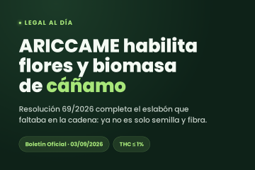 Guía completa de cultivo de cannabis en Argentina: Tips y recomendaciones