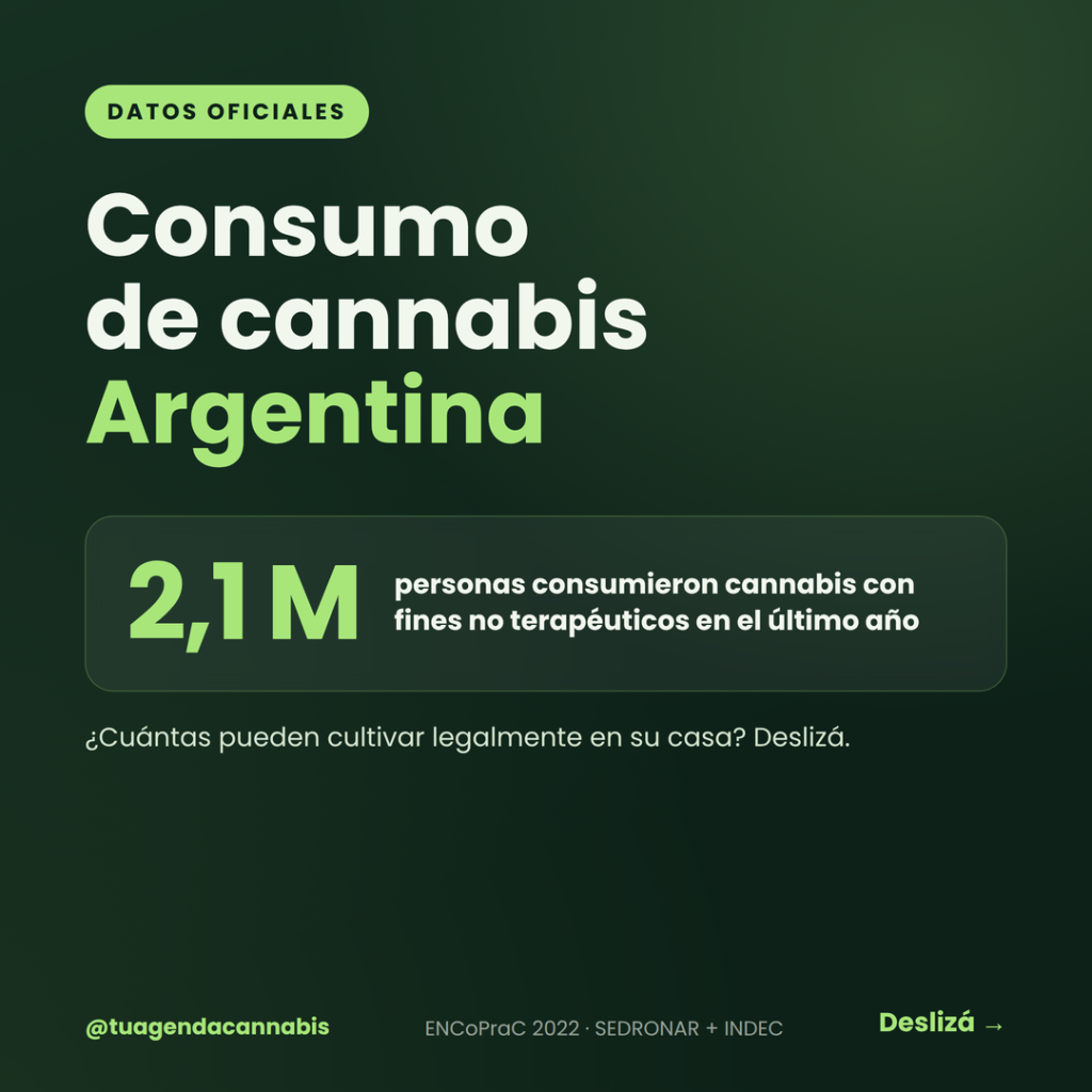 Consumo cannabis argentina