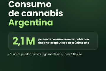 Consumo cannabis argentina