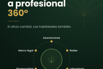Cannabis 360