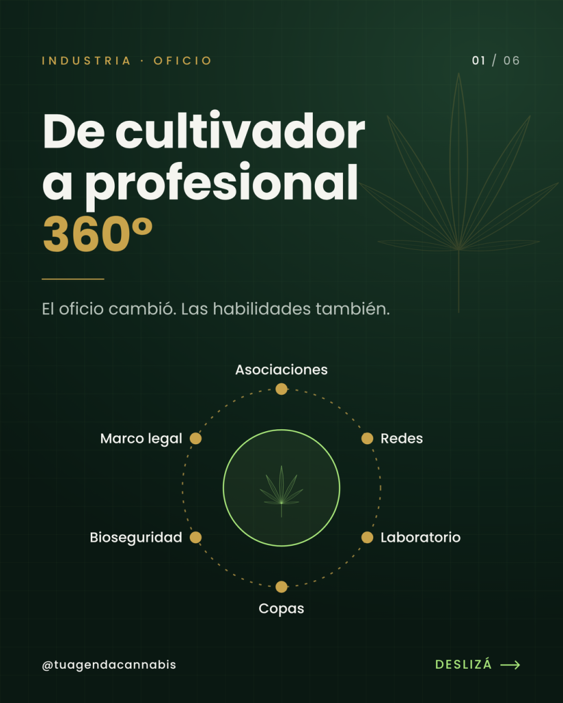 Cannabis 360