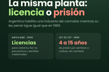 Cannabis en Argentina: industria en expansión, ley penal congelada