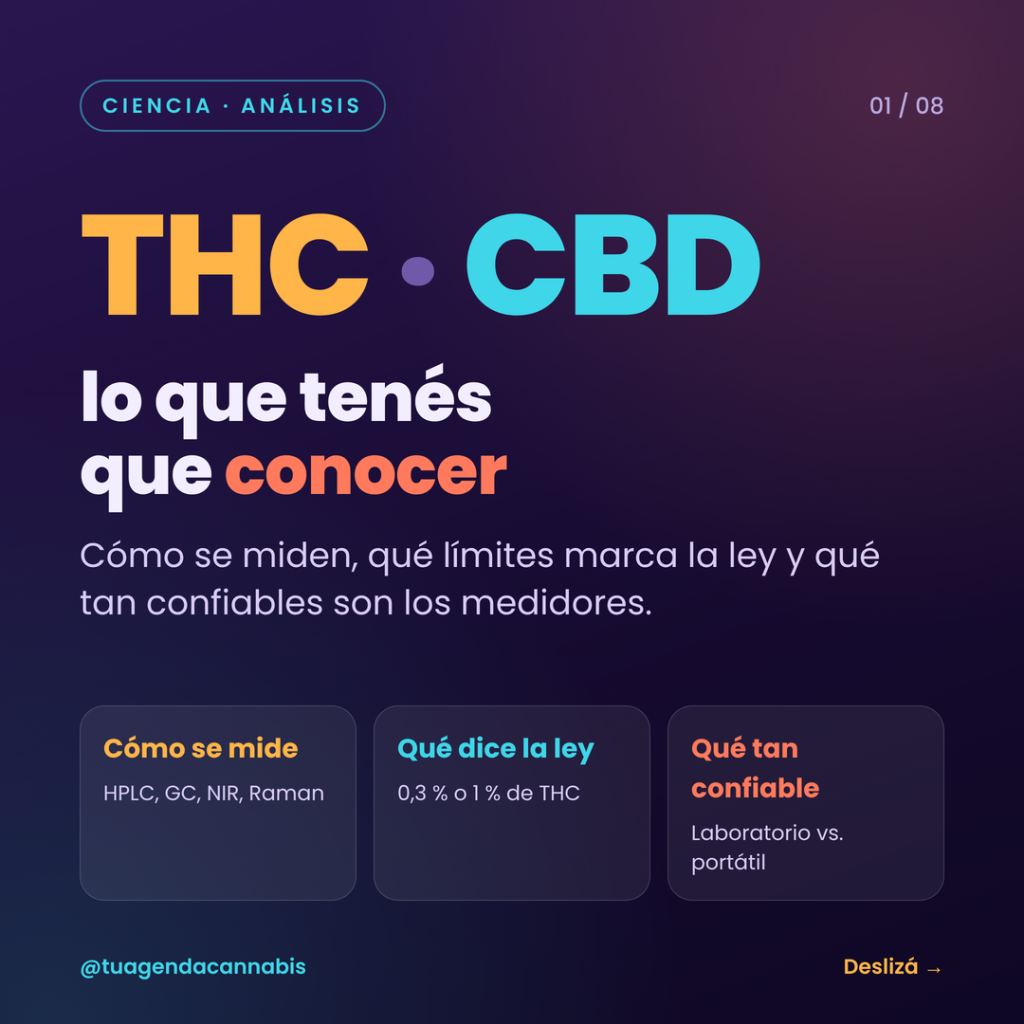Guía de inversión en el mercado cannábico argentino