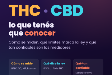 Guía de inversión en el mercado cannábico argentino